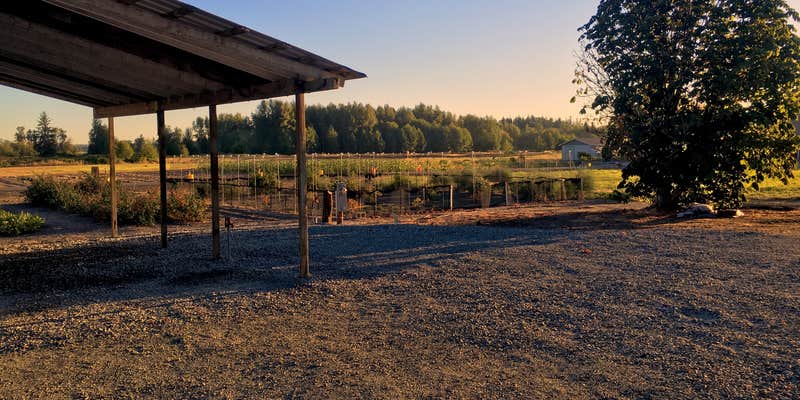 Camper submitted image from Klein Family Home