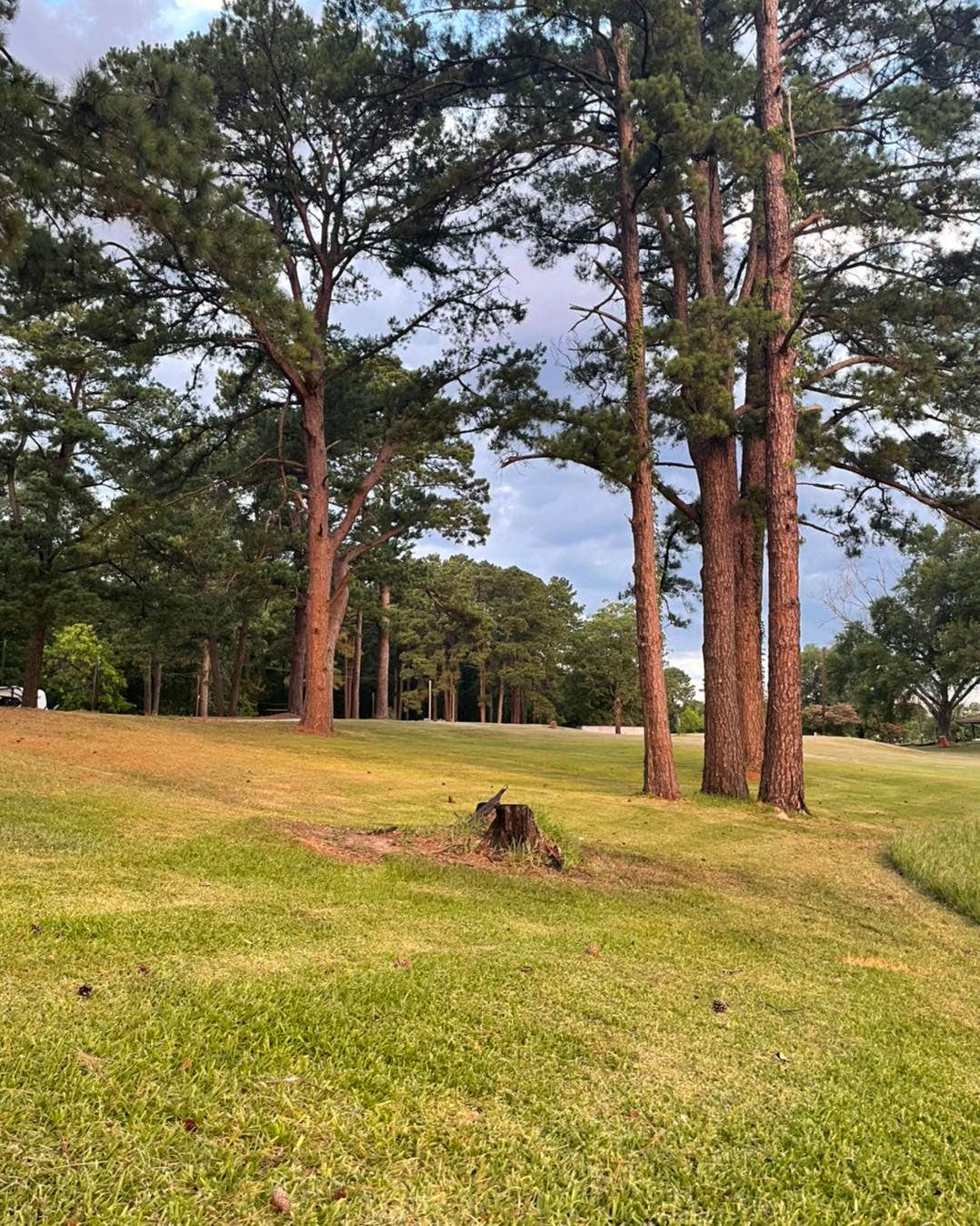 Camper-submitted photo at Huxley Bay Marina & RV Park near San Augustine, TX