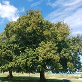 Review photo of Dunewood Campground — Indiana Dunes National Park by Emily W., August 23, 2016