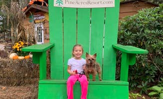 Corey's photo of camping with pets at Pine Acres Family Camping Resort near Boxboro, MA