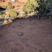 Review photo of Devils Garden Campground — Arches National Park by Abby O., December 1, 2018