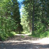 Review photo of Lake Creek Campground by Darrin L., August 23, 2016