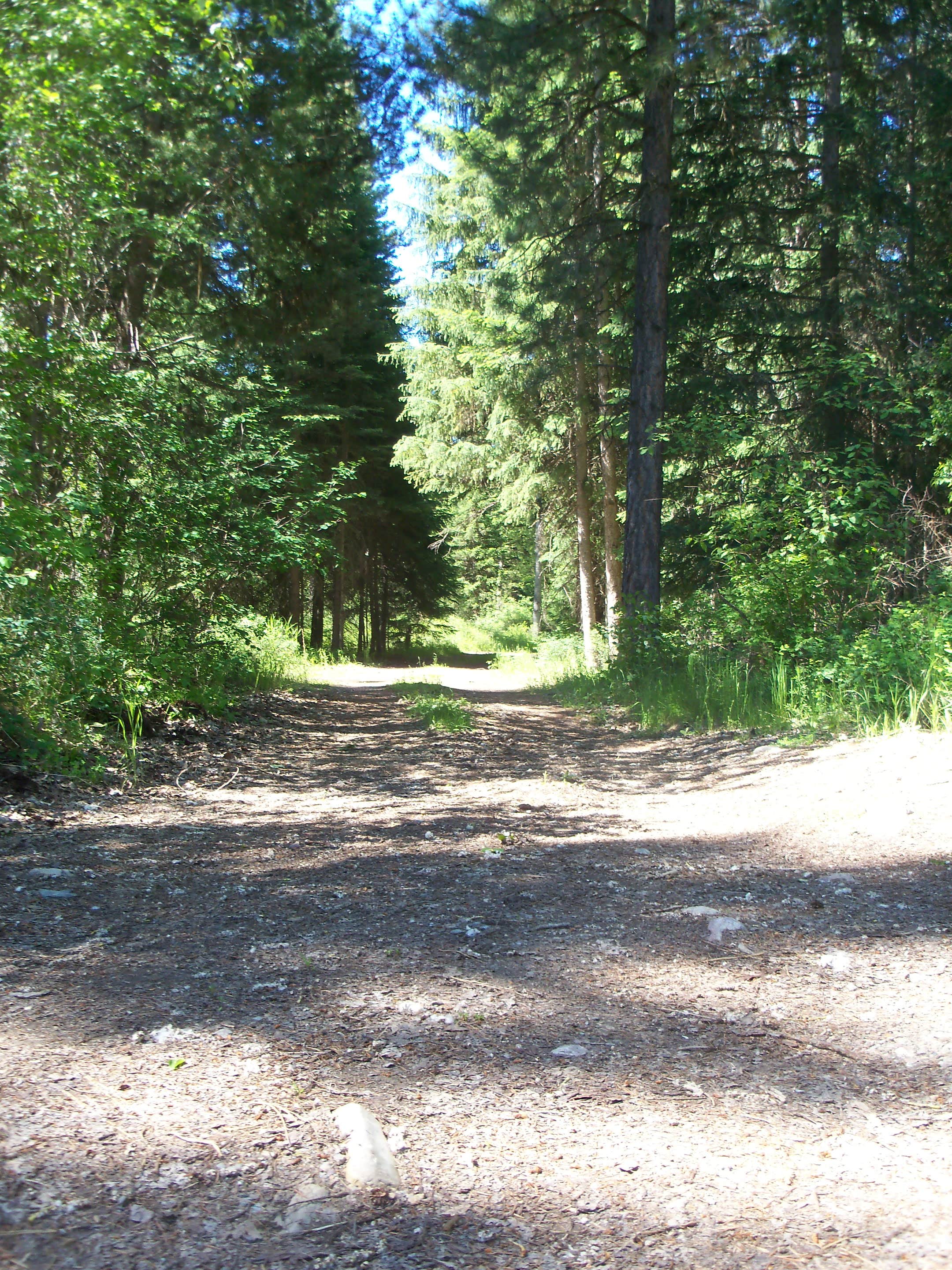 Camper submitted image from Lake Creek Campground - 3