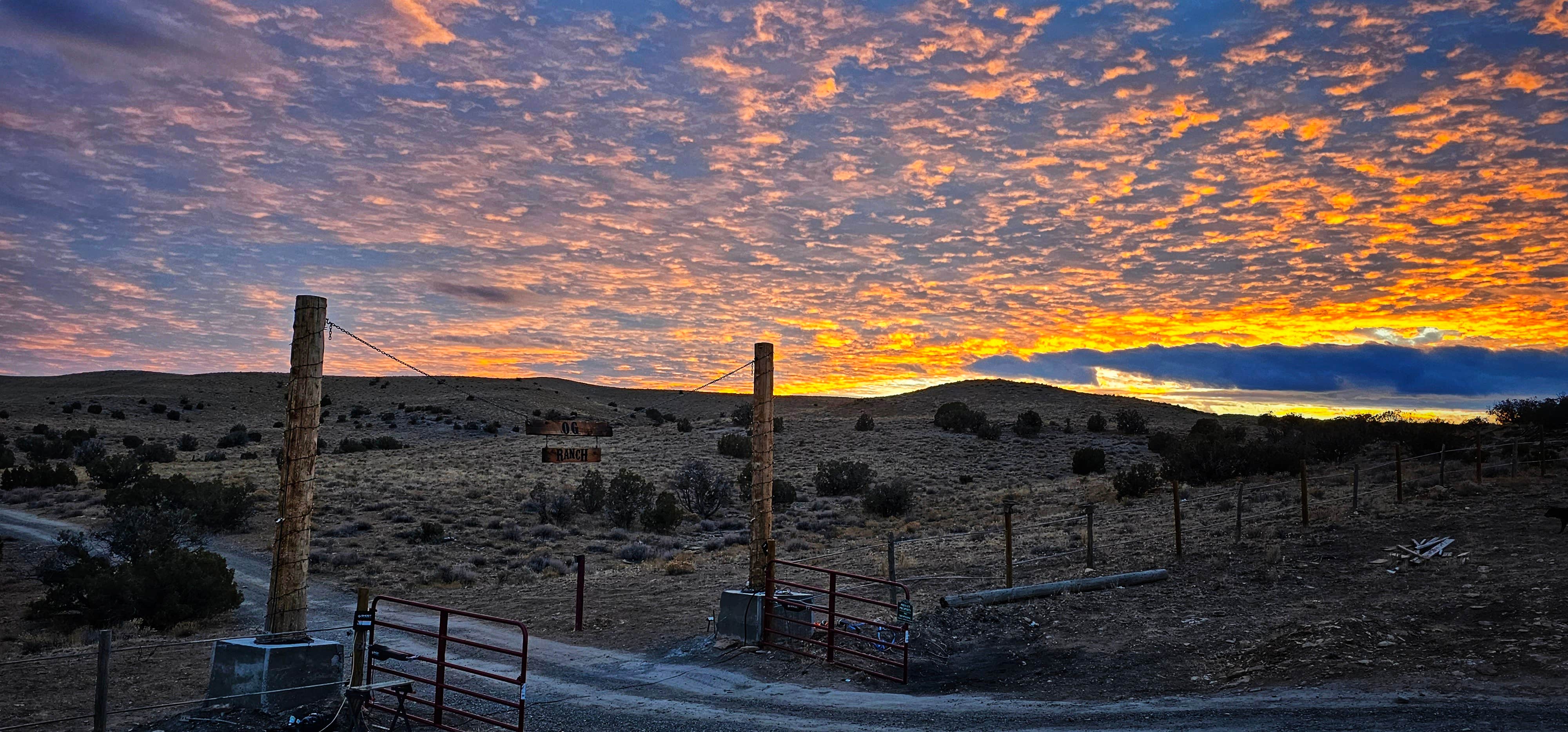 Camper submitted image from Oso Grande-Mesa view campsites - 2