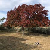 Review photo of Seminole Canyon State Park Campground by Deborah C., December 1, 2018