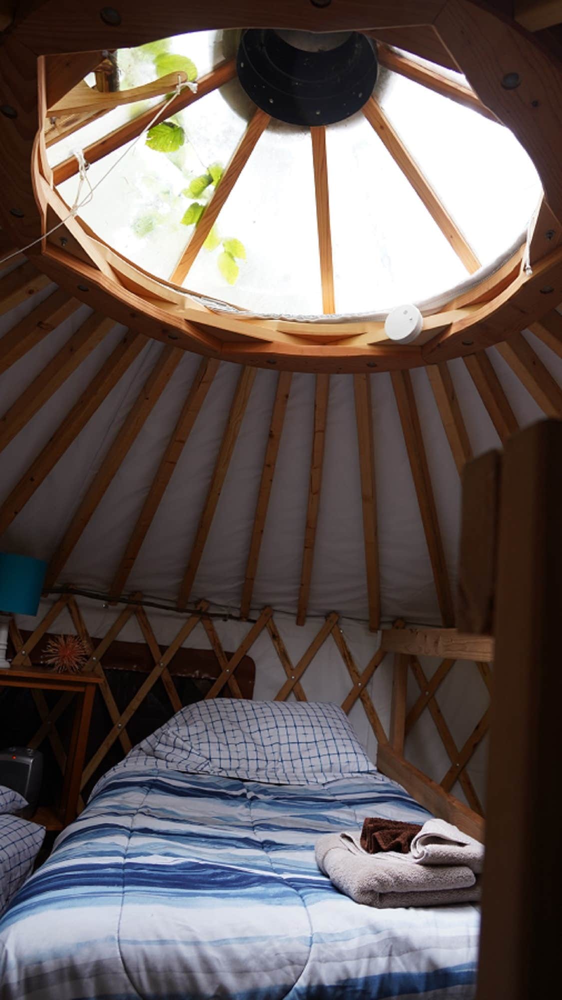 The Dyrt's photo of glamping accommodations at Nauti Otter near Whittier, AK