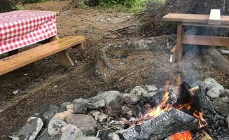 The Dyrt's photo at Nauti Otter near Kenai Fjords National Park