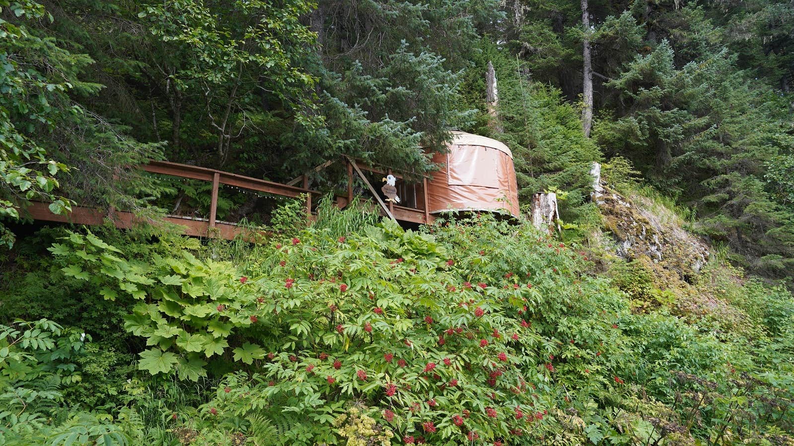 The Dyrt's photo at Nauti Otter near Moose Pass, AK