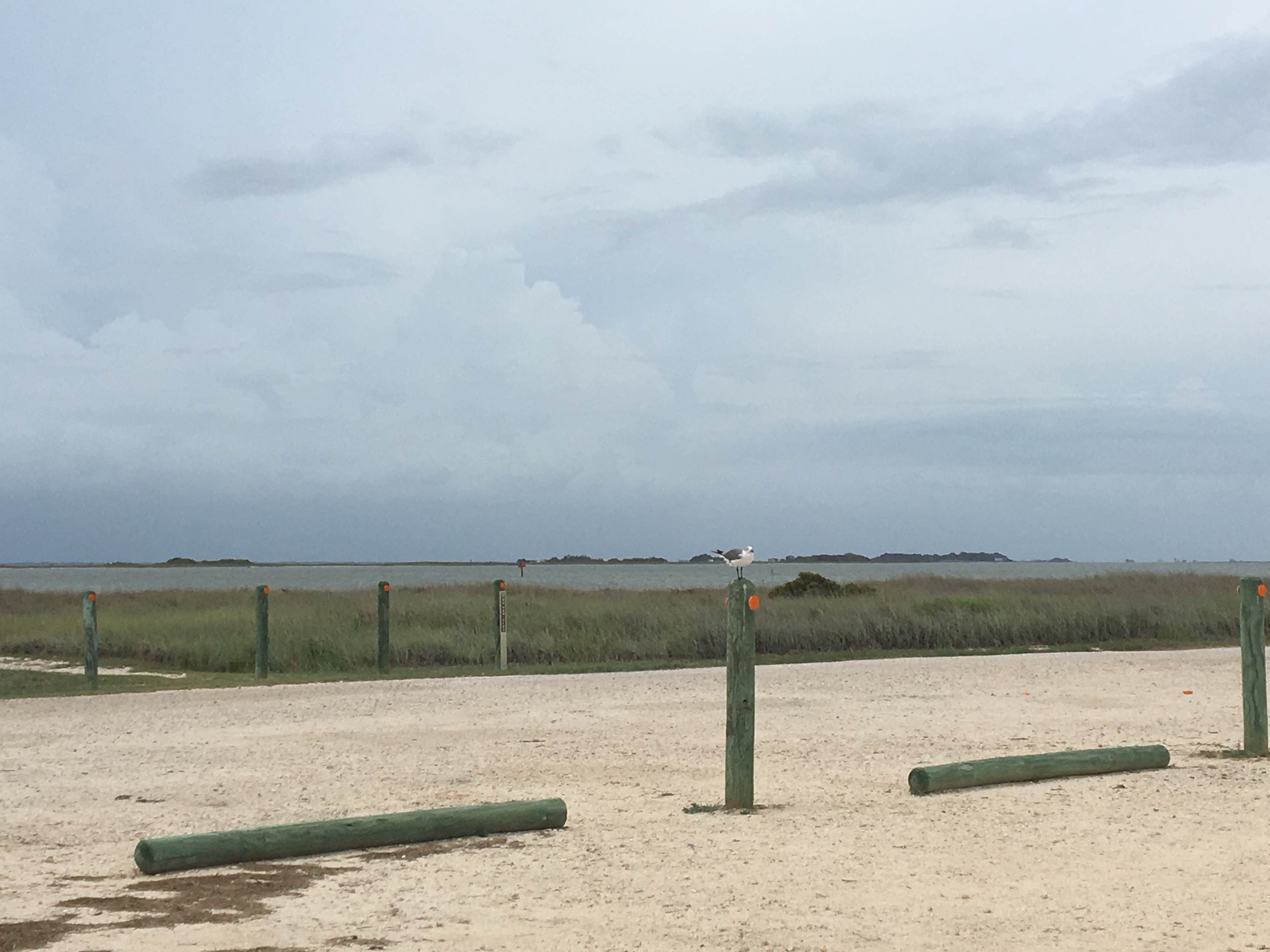 Camper-submitted photo at South Beach — Padre Island National Seashore near Chapman Ranch, TX