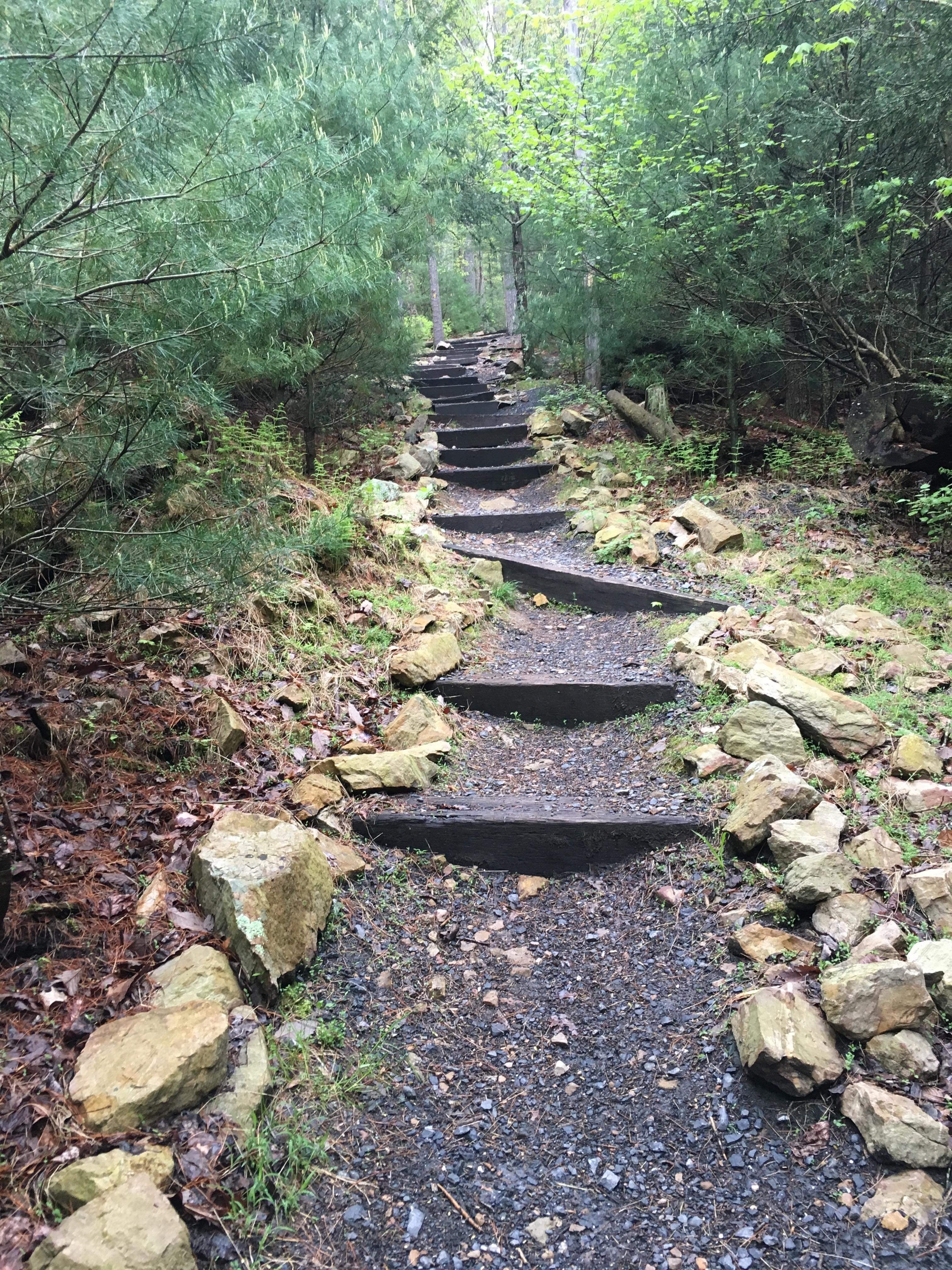 Steps on the Appalachian Trail on the way to Birch Run.