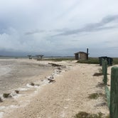 Review photo of South Beach — Padre Island National Seashore by Shelly S., August 23, 2016