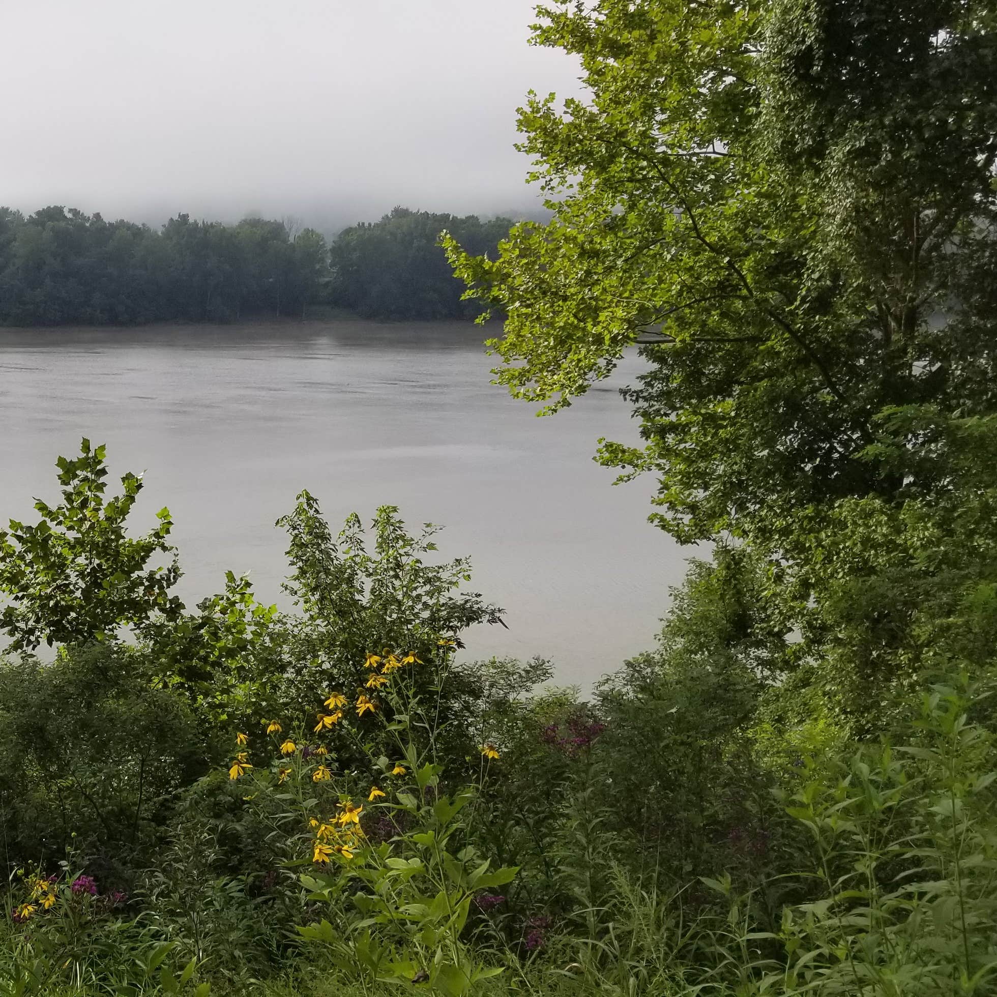 Sandy Springs Campground Camping The Dyrt