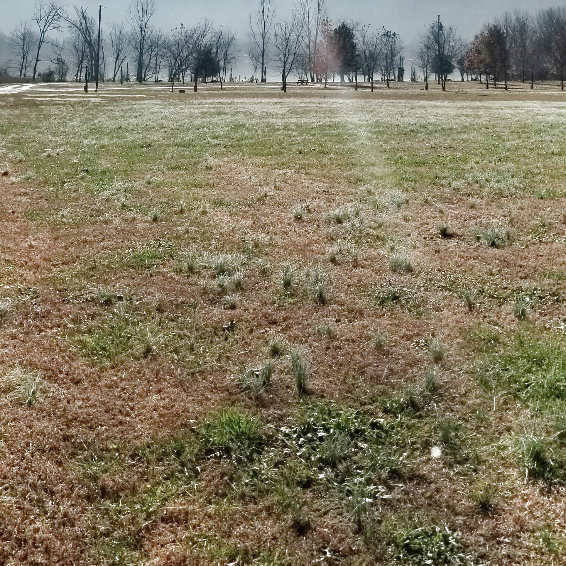 Sandy Springs Campground Camping The Dyrt