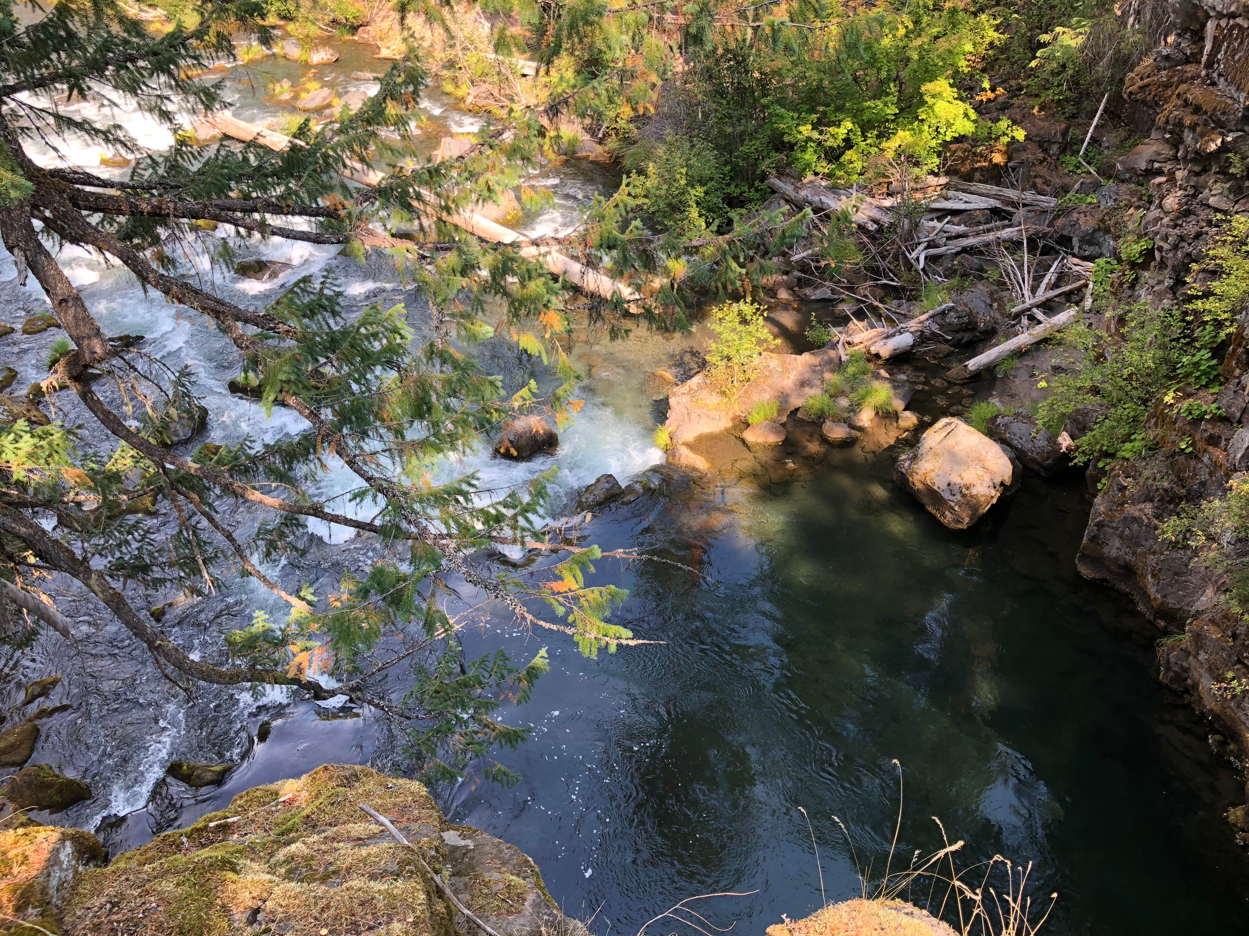 Camper submitted image from Union Creek Campground - Rogue River - TEMPORARILY CLOSED - 3