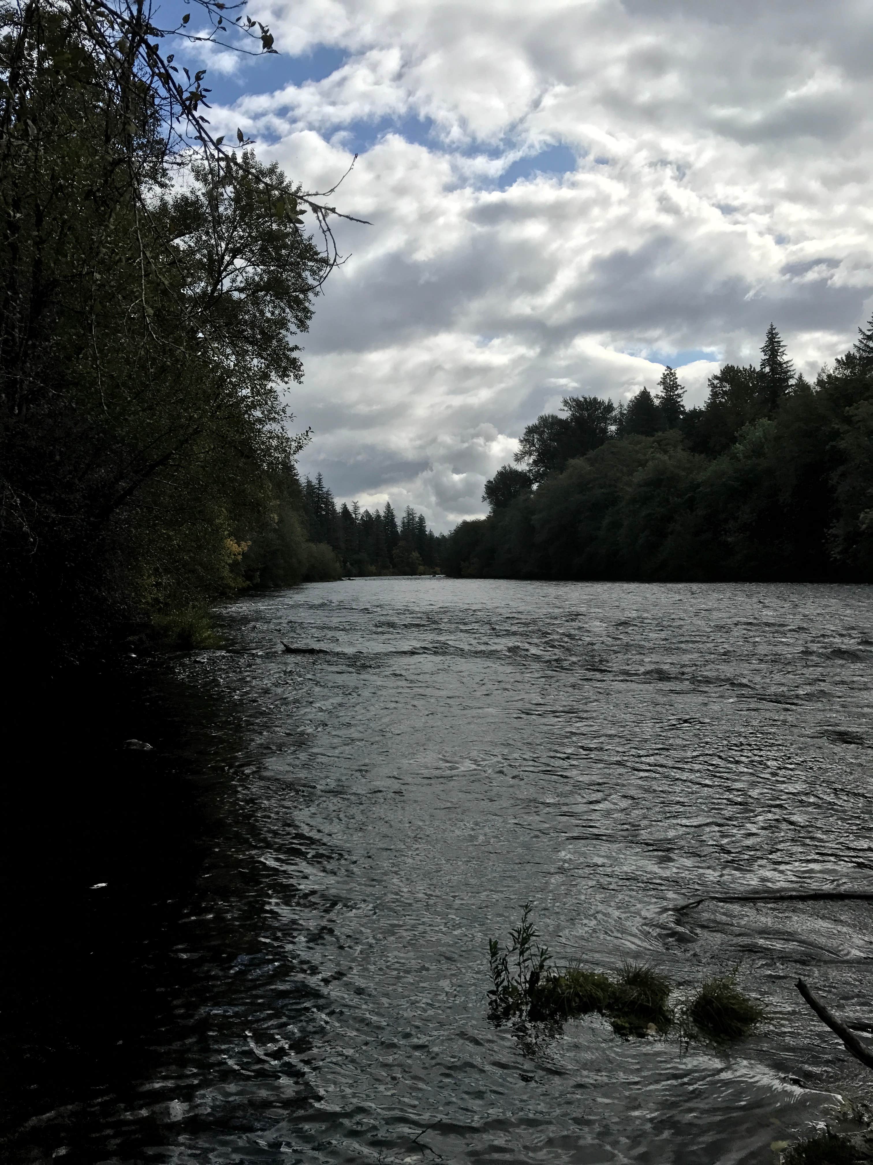 Camper submitted image from Fishermens Bend - TEMPORARILY CLOSED TO CAMPING - 2