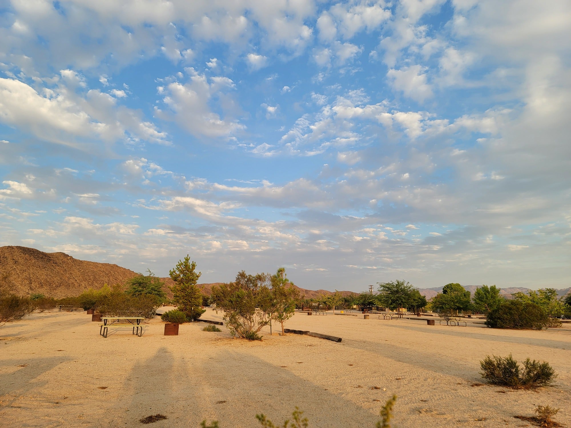 Camper submitted image from Joshua Tree Lake RV & Campground - 1