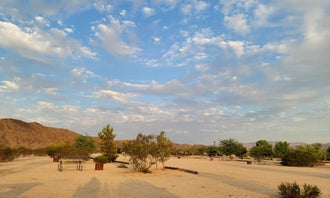 Camping near JT Village Campground - Bunkhouse: Joshua Tree Lake RV & Campground, Joshua Tree, California