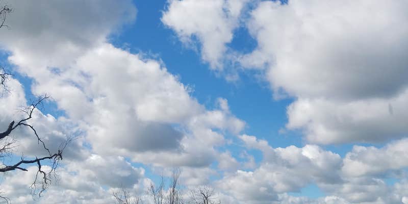 Camper submitted image from Heeled Heart Ranch