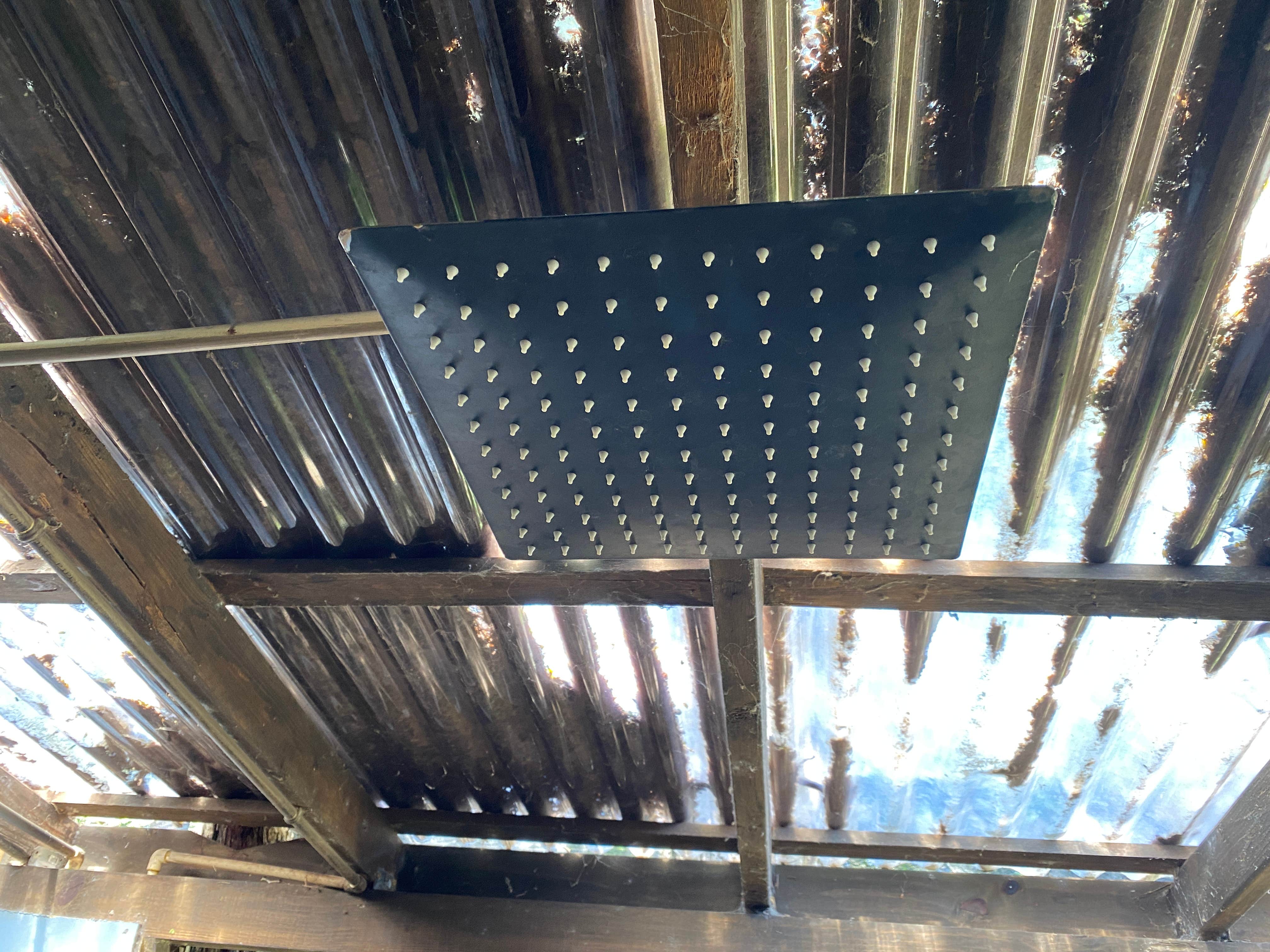 Camper-submitted photo at GREEN Wildlife Ecotourism near Harlingen, TX