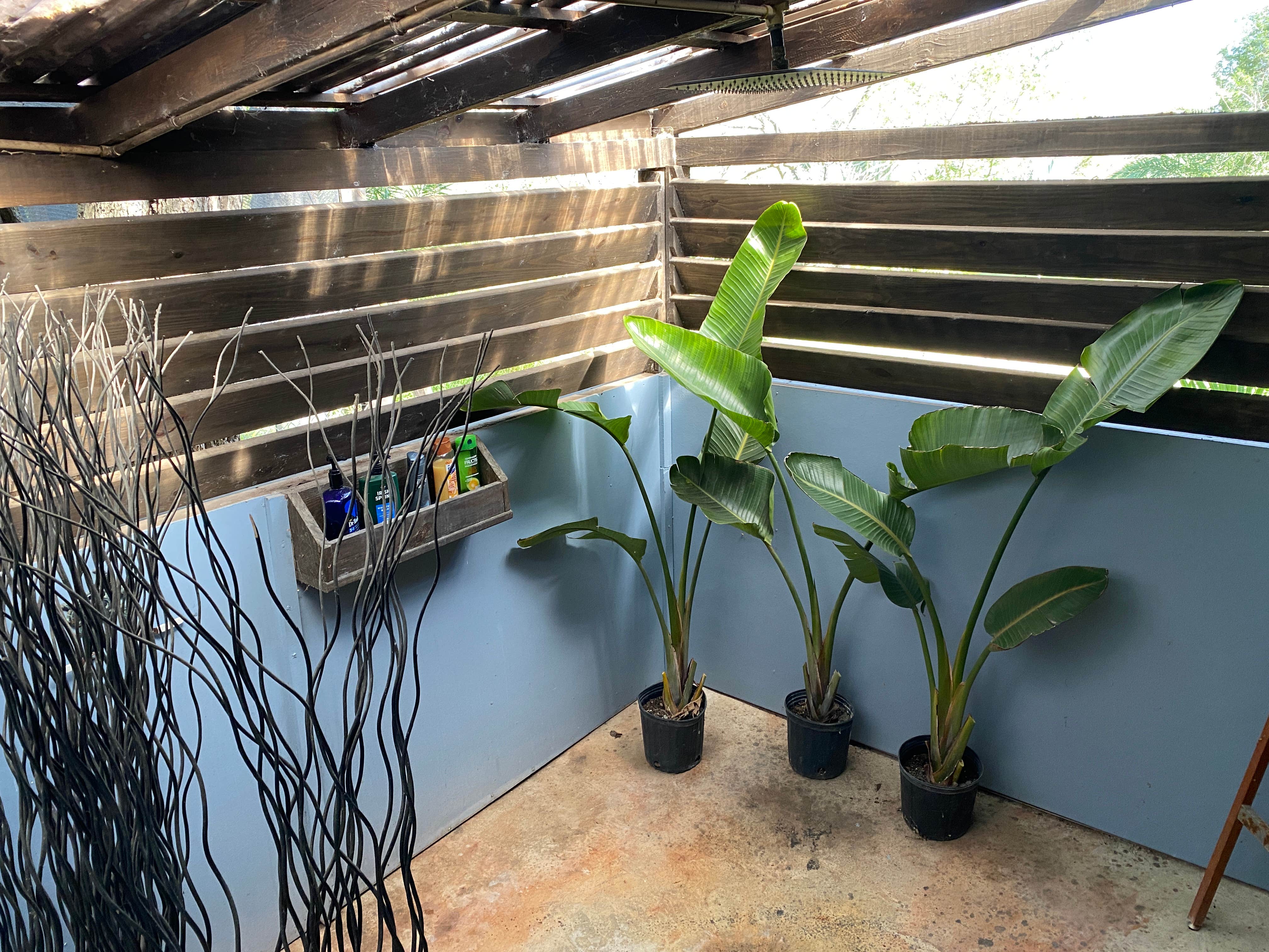 Camper-submitted photo at GREEN Wildlife Ecotourism near Harlingen, TX