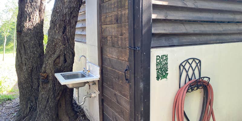 Camper submitted image from GREEN Wildlife Ecotourism