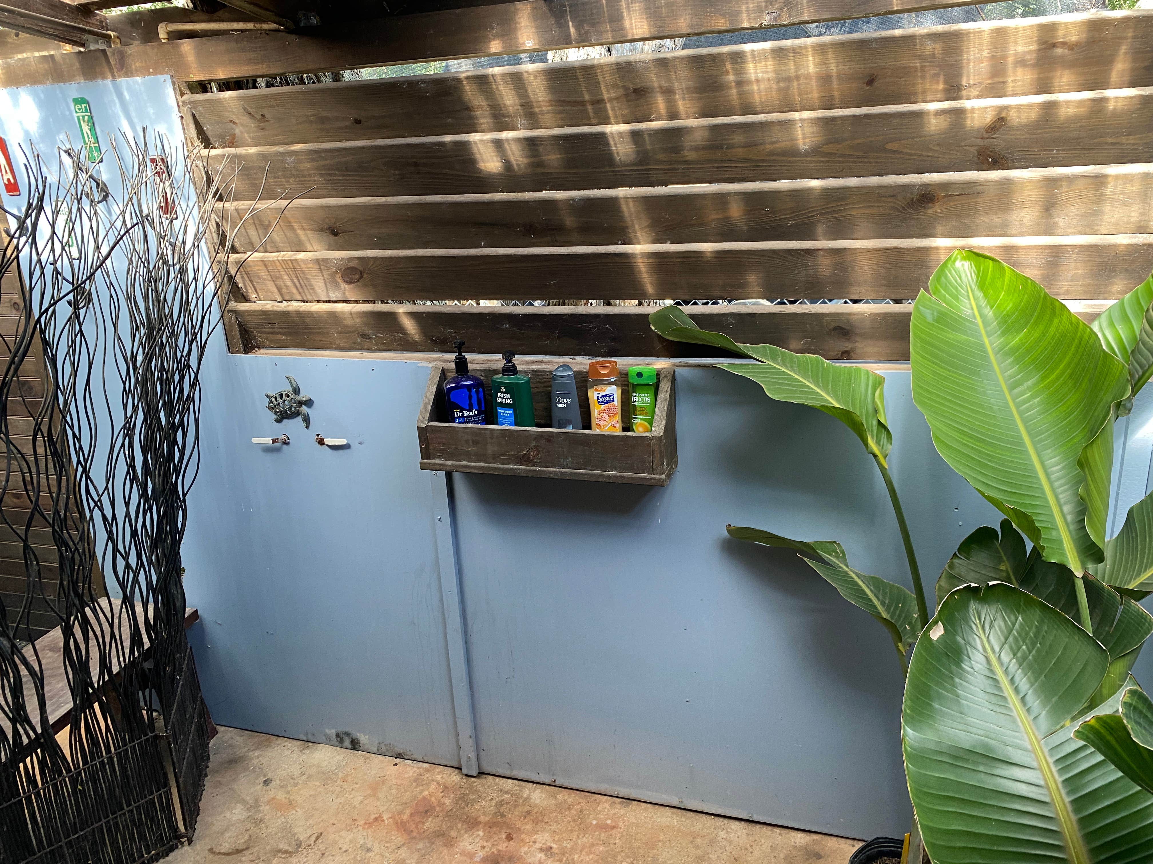 Camper-submitted photo at GREEN Wildlife Ecotourism near Harlingen, TX