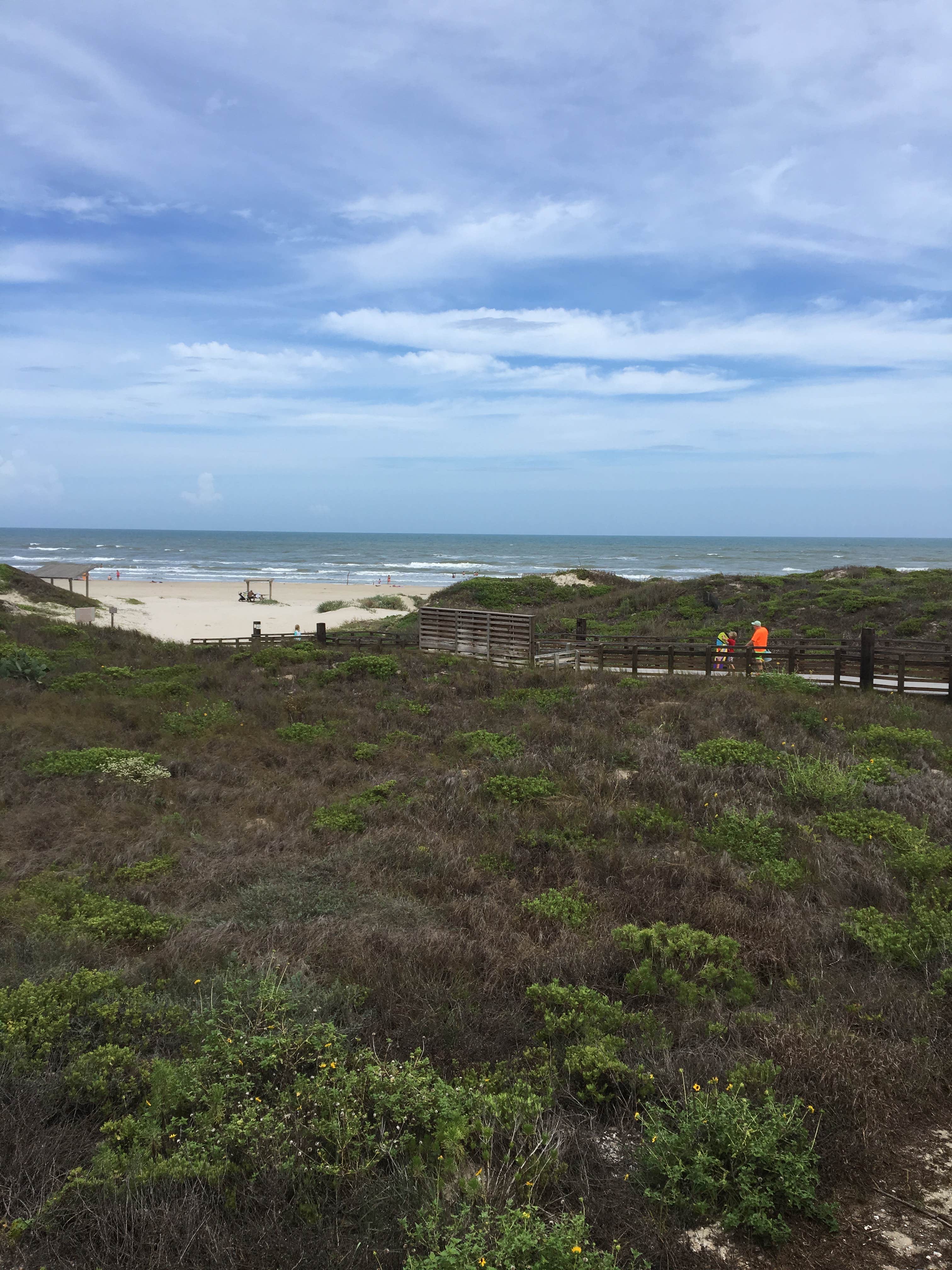 Camper-submitted photo at South Beach — Padre Island National Seashore near Chapman Ranch, TX