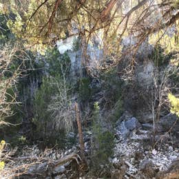 Dinosaur Valley State Park — Dinosaur Valley State Park