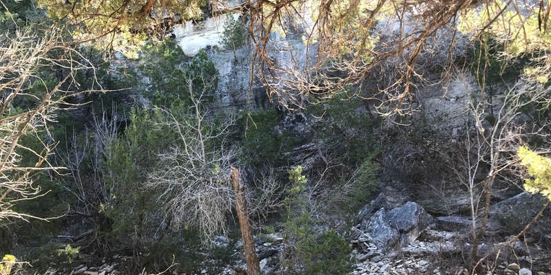 Camper submitted image from Dinosaur Valley State Park Campground