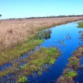 Review photo of Kilpatrick Hammock Campground — Kissimmee Prairie Preserve State Park by Kim H., December 6, 2018