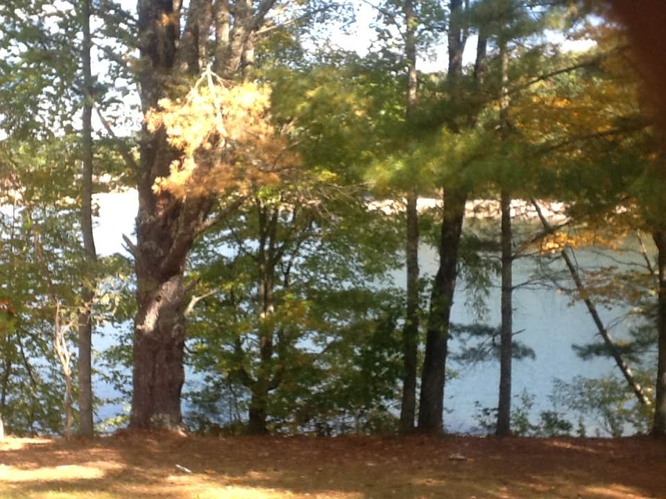 Camper submitted image from Ralph J. Andrews Campground - 2