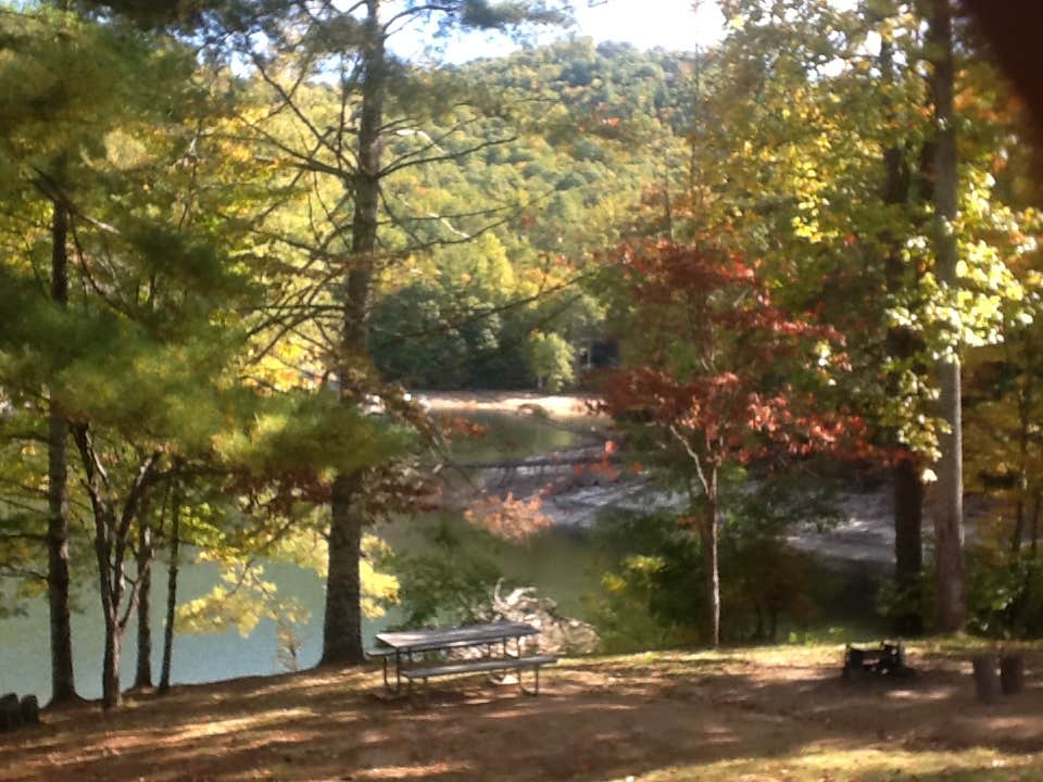 Camper submitted image from Ralph J. Andrews Campground - 4