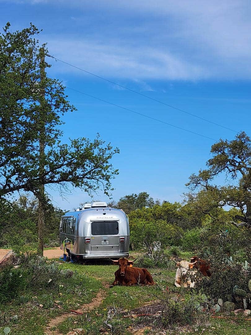 Camping near Mustard Seed on the Llano: Brown Chicken Brown Cow Ranch, Llano, Texas