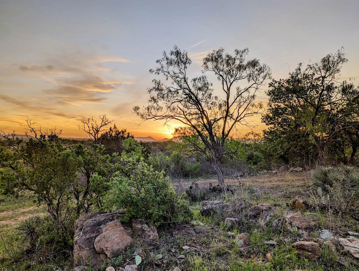 Camper-submitted photo at Brown Chicken Brown Cow Ranch near Llano, TX