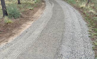 Eldon S.'s photo of camping with pets at La Pine, Oregon near Fort Rock, OR