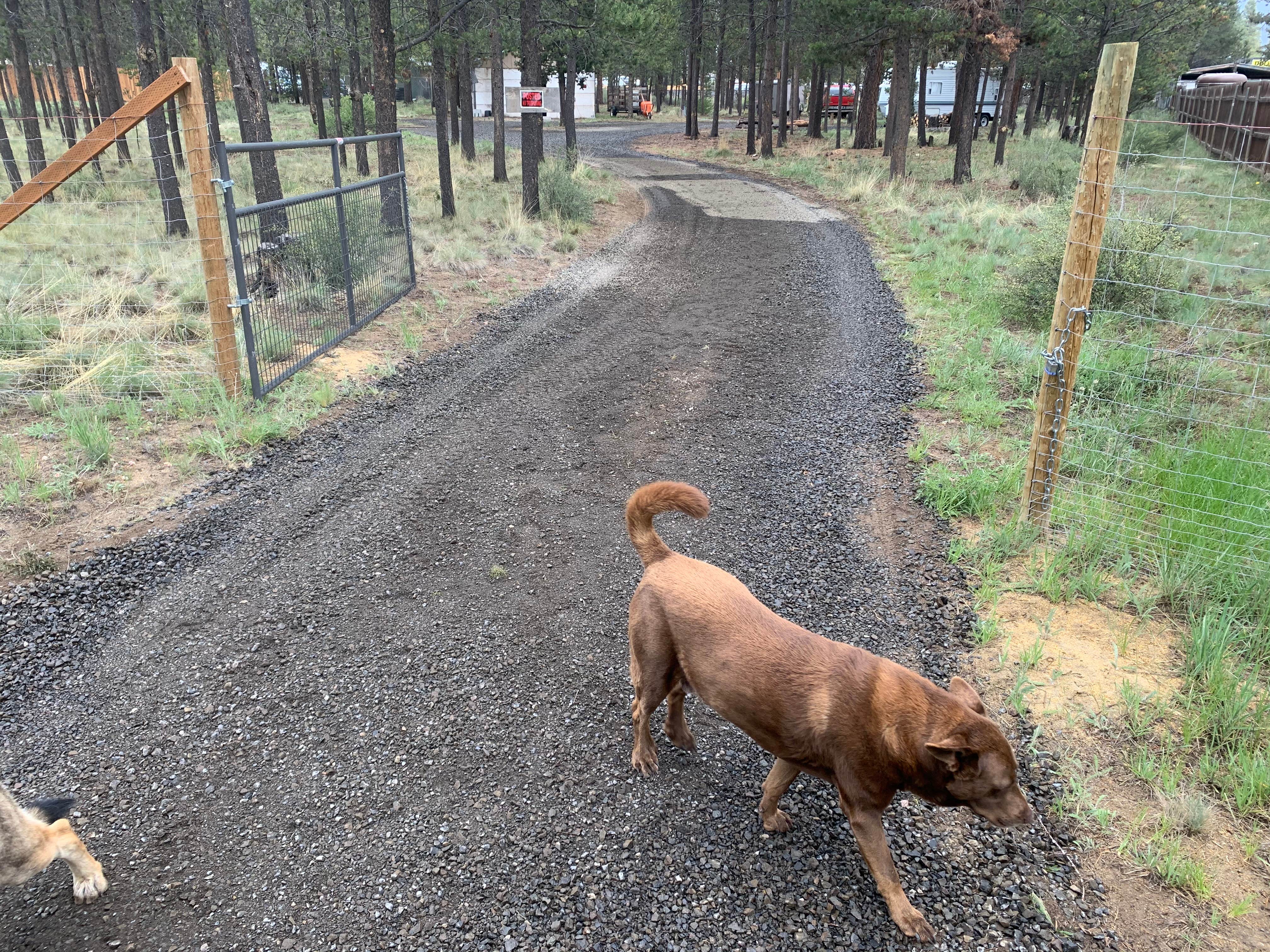 Camper-submitted photo at La Pine, Oregon near La Pine, OR