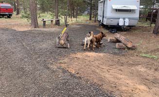 Eldon S.'s photo of camping with pets at La Pine, Oregon near Fort Rock, OR