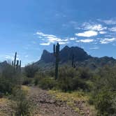 Review photo of Picacho Peak State Park Campground by Bill R., February 24, 2024