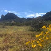 Review photo of Picacho Peak State Park Campground by Bill R., February 24, 2024