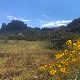 Review photo of Picacho Peak State Park Campground by Bill R., February 24, 2024