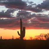 Review photo of Picacho Peak State Park Campground by Bill R., February 24, 2024