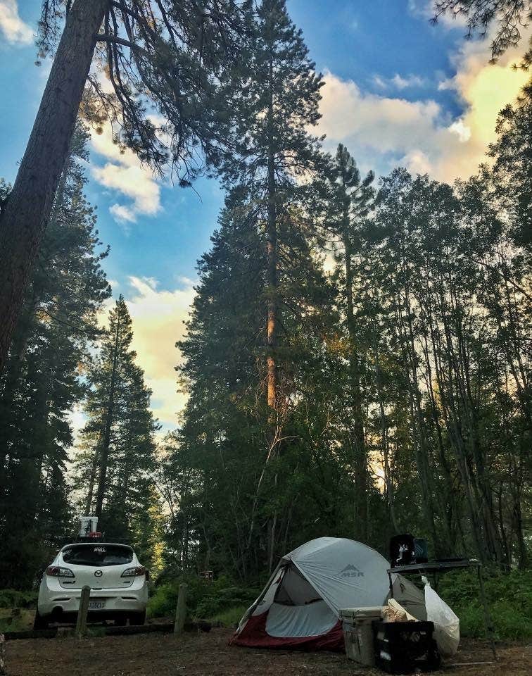 Campsites