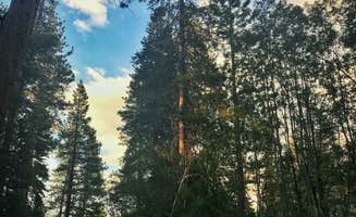 Wutang P.'s photo at Bolsillo Campground near Mono Hot Springs, CA