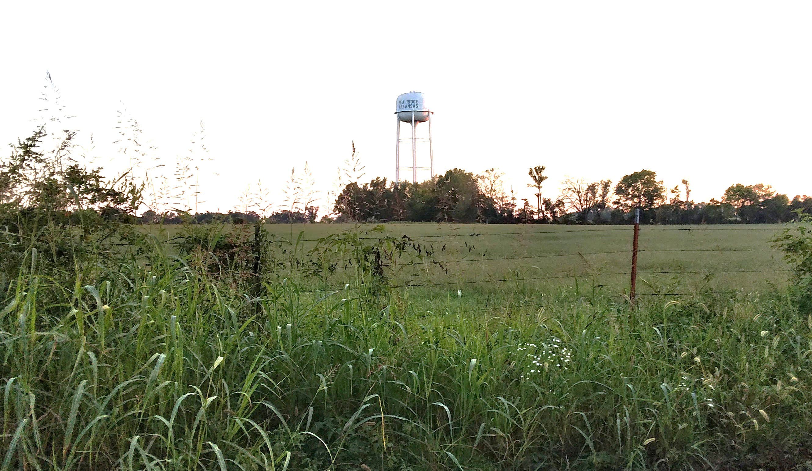 Camper submitted image from Pea Ridge Bike Camp - 2