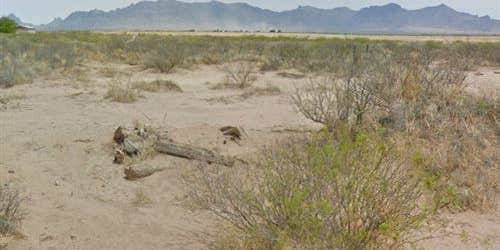 Camper submitted image from Half acre land with power