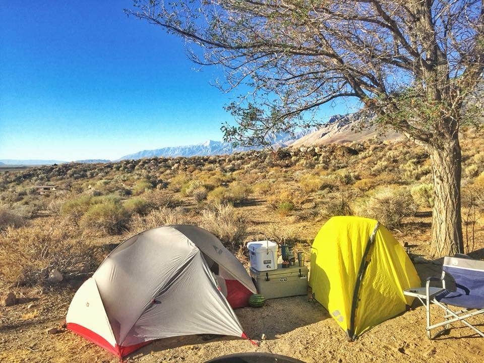Wutang P.'s photo at Goodale Creek Campground near Big Pine, CA