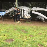 Review photo of Mackerricher State Park Campground by Wutang P., December 8, 2018