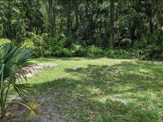 Camper-submitted photo at Shady Oak RV Site near Crystal River, FL