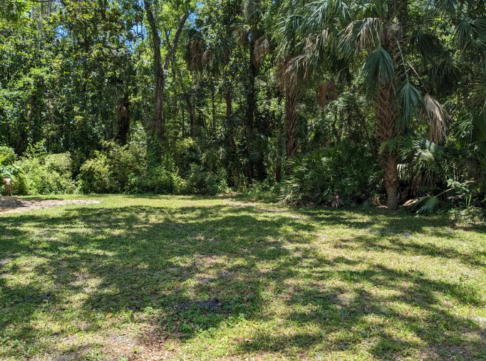 Camper-submitted photo at Shady Oak RV Site near Crystal River, FL