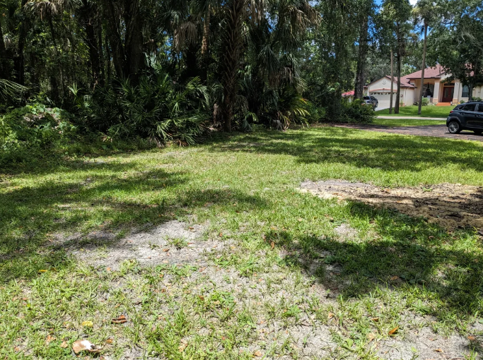 Camper-submitted photo at Shady Oak RV Site near Crystal River, FL